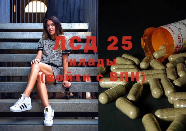 индика Мурманск