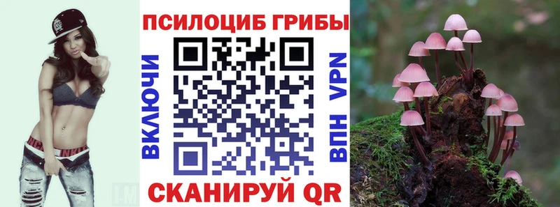 Галлюциногенные грибы Psilocybine cubensis  Купить где  Минусинск 